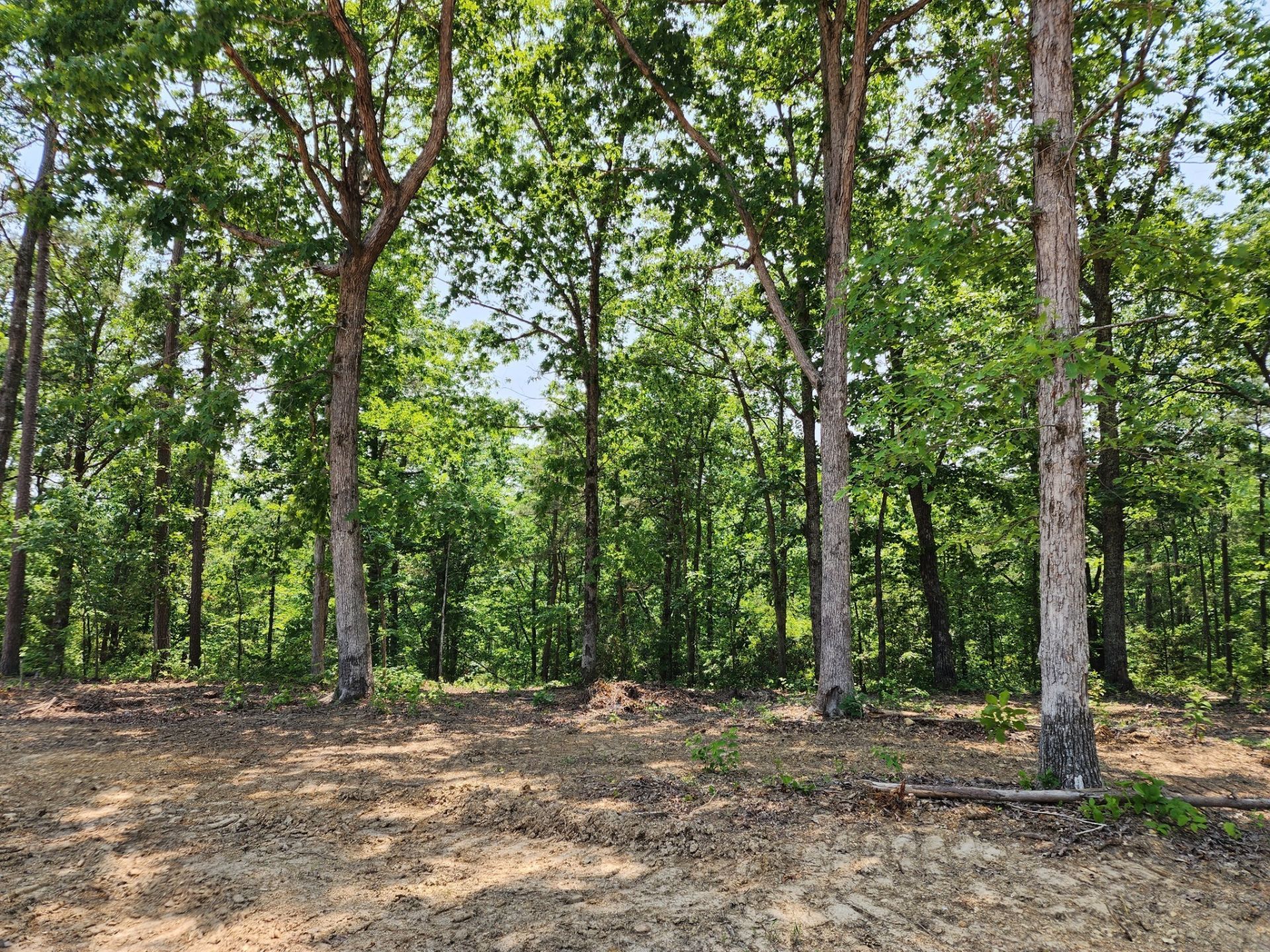 118 Bella Way , Hohenwald, TN 38462 Main Photo
