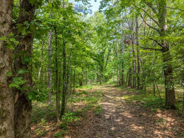 0 Eli Rd , Unit 4, Bon Aqua, TN 37025