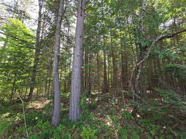 Lot 1 E Solberg Lake Road, Phillips, WI 54555