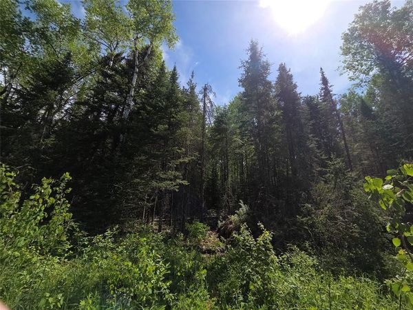 Lot 3 E Solberg Lake Road, Phillips, WI 54555