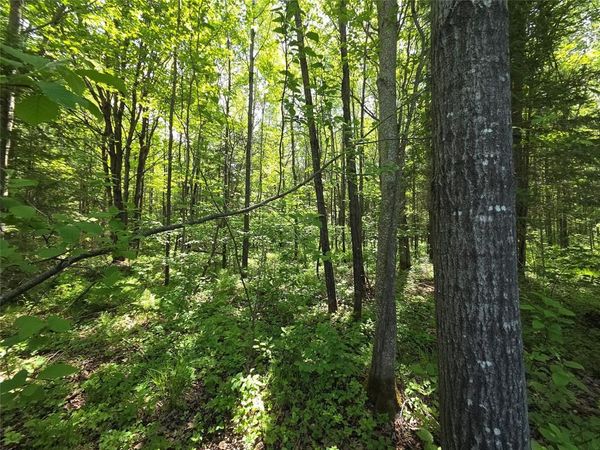 Lot 5 E Solberg Lake Road, Phillips, WI 54555