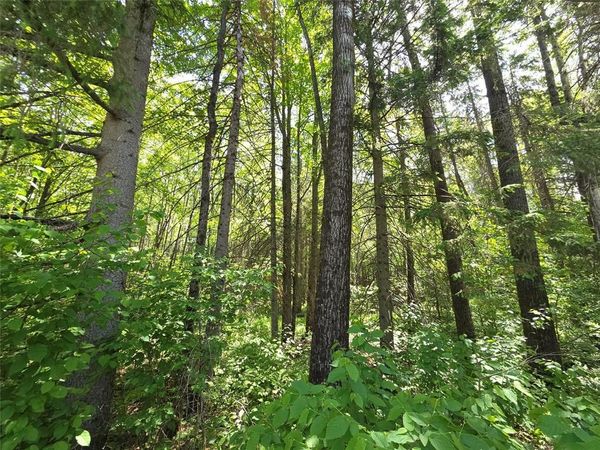 Lot 6 E Solberg Lake Road, Phillips, WI 54555