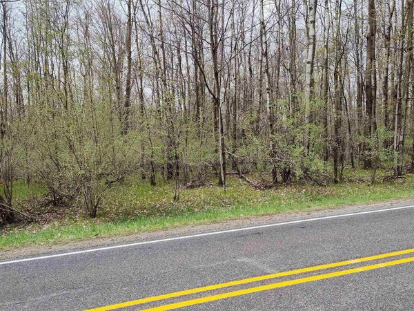 1154 Queensway Drive, Lake Isabella, MI 48893