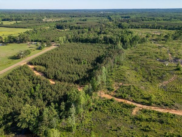 Mississippi 15, Mathiston, MS 39752