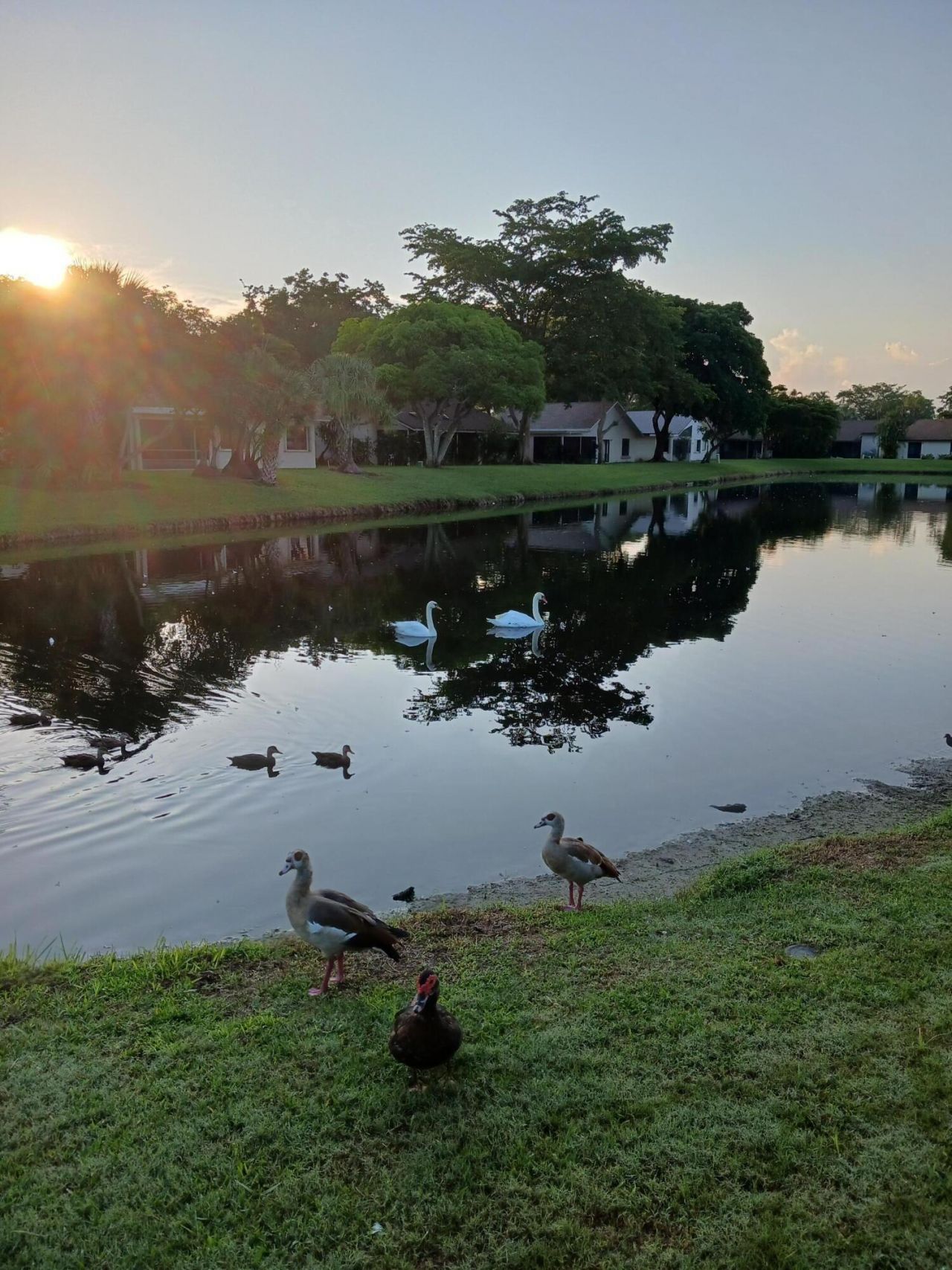 5289 Fairway Woods Drive, Unit 2913, Delray Beach, FL 33484 Photo