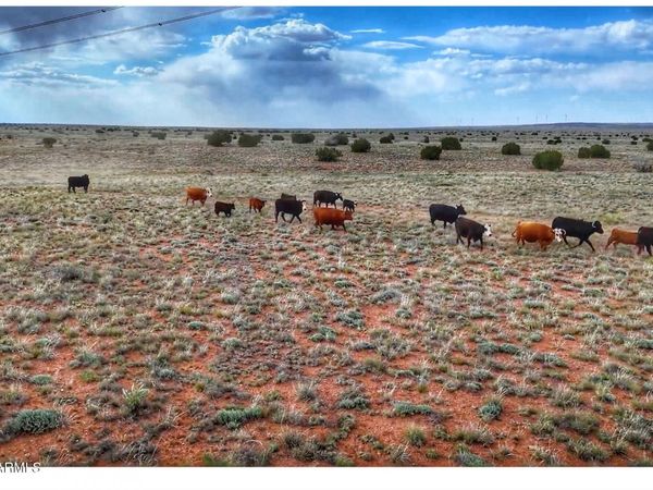 100 S Duck Lake Road, Unit -, Heber, AZ 85928