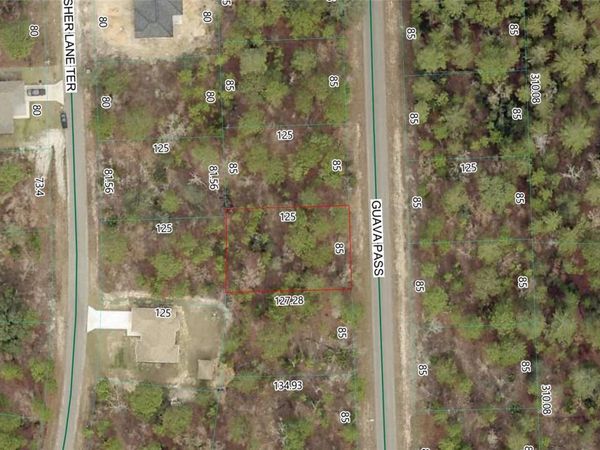 GUAVA PASS LOT 10 , OCKLAWAHA, FL 32179