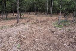 Lot 2 Quattlebaum Drive  photo 4