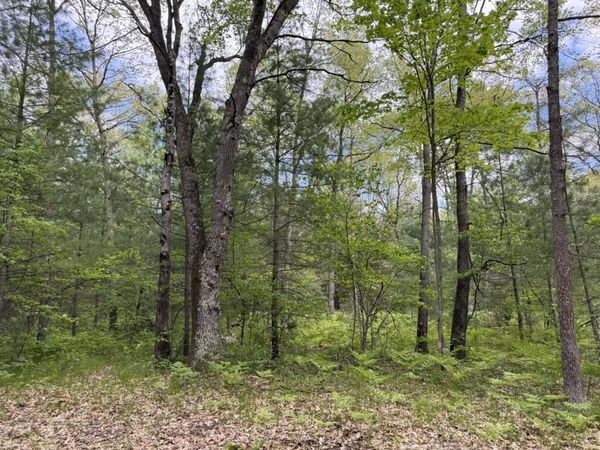 Harris Road, Wellston, MI 49689
