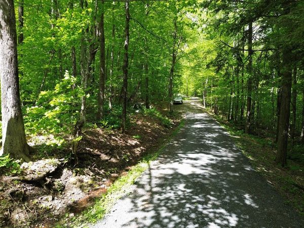 197 Sugar Ledge Road, Unit 4, Warren, VT 05674