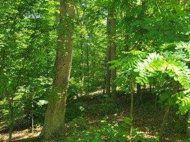 8 MECHUNK TER , PALMYRA, VA 22963