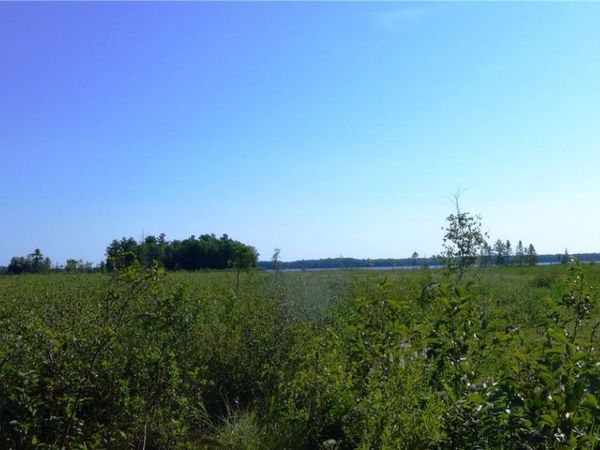 0 Brandt Road , Hayward, WI 54843
