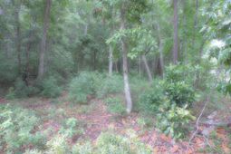 0 Folly Road photo 4