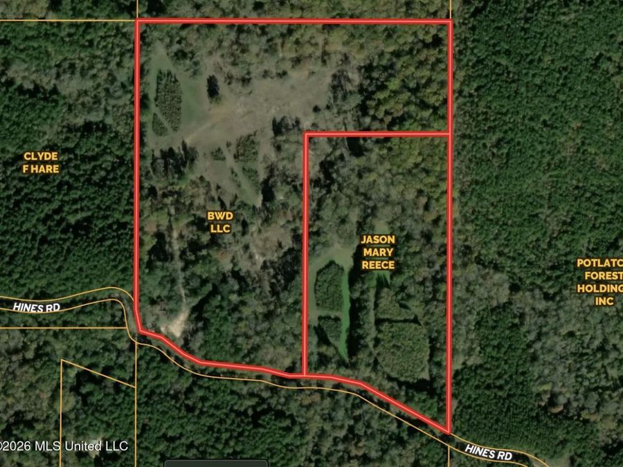 Property Image 4