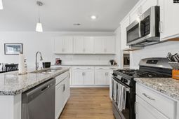 208 Flatsedge Court  photo 4