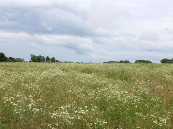 TBD 000 W Ar Hwy 72 , Gravette, AR 72736