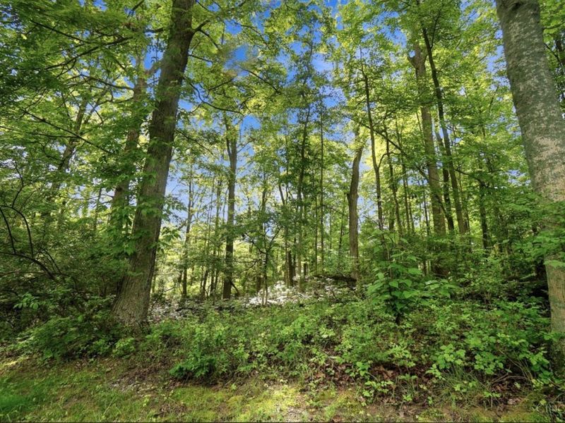 1101 Red Bird Road, Loveland, OH 45140 Photo 53