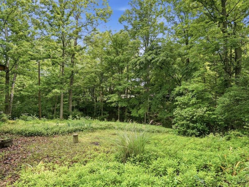 1101 Red Bird Road, Loveland, OH 45140 Photo 55