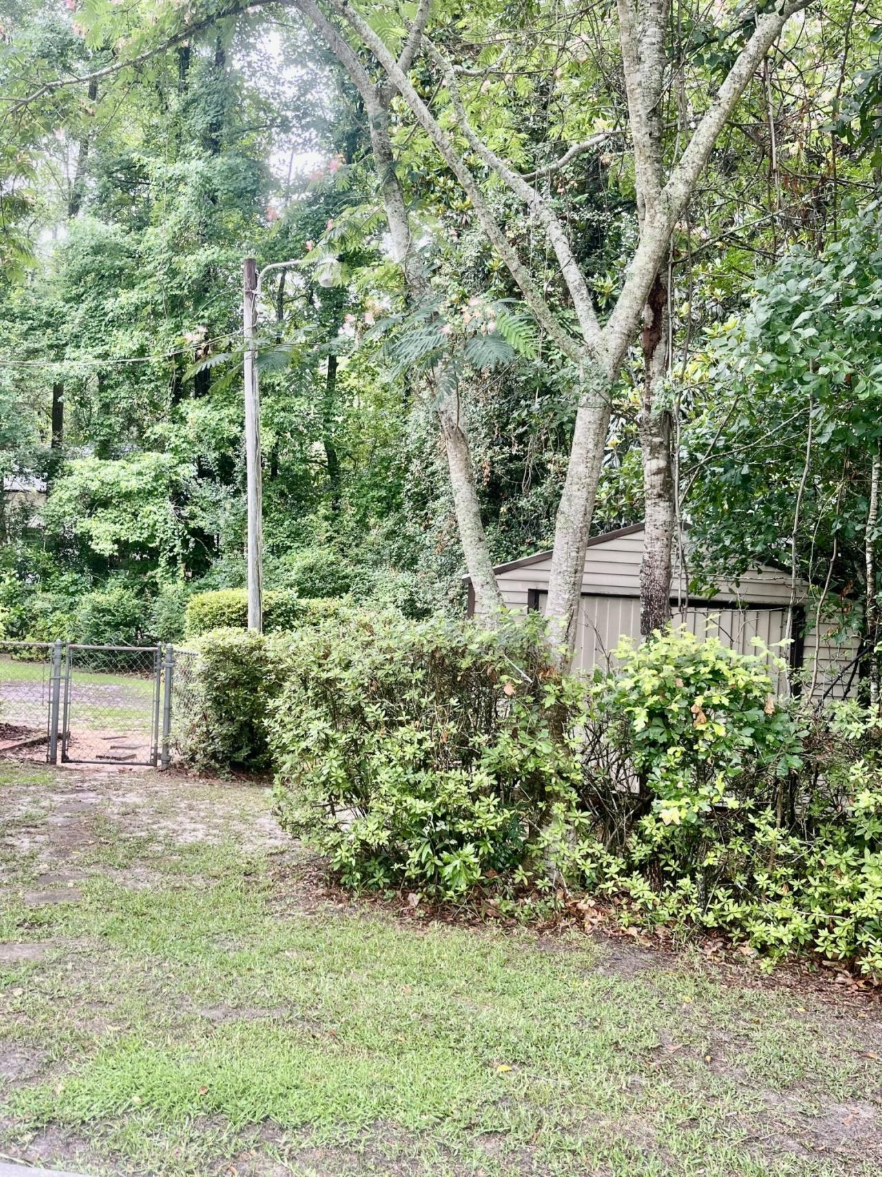 115 Woodlawn Street Photo 32