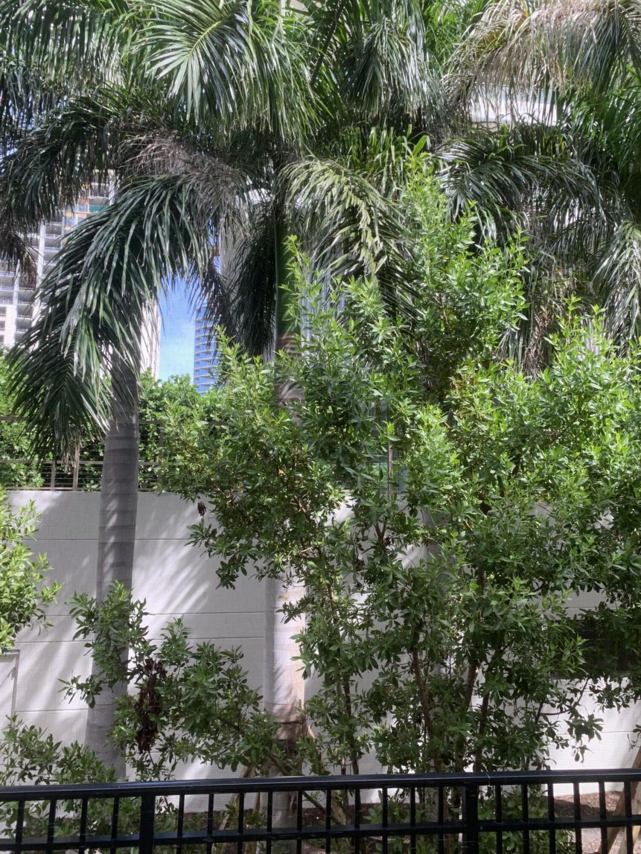 1527 S Flagler Drive S, Unit 116f, West Palm Beach, FL 33401 Photo