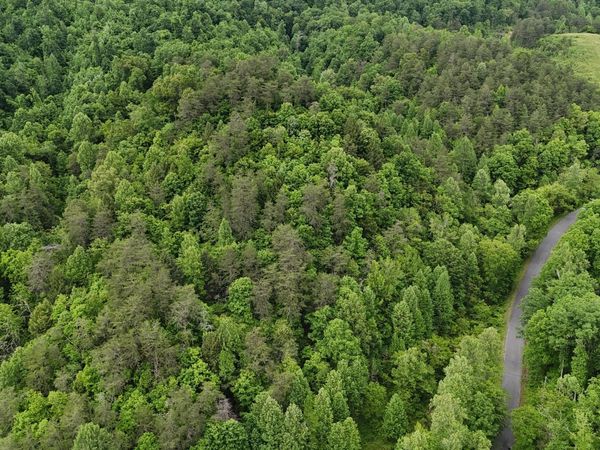 Tbd Early Branch Road, Rogersville, TN 37857