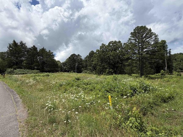 504 CHEROKEE Avenue , Heber Springs, AR 72543