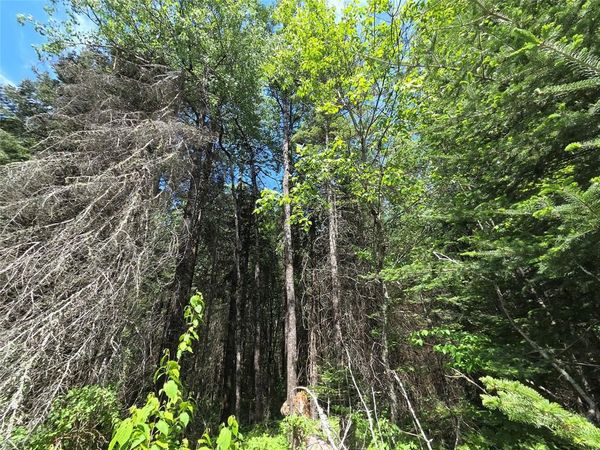 Lot 8 E Solberg Lake Road, Phillips, WI 54555