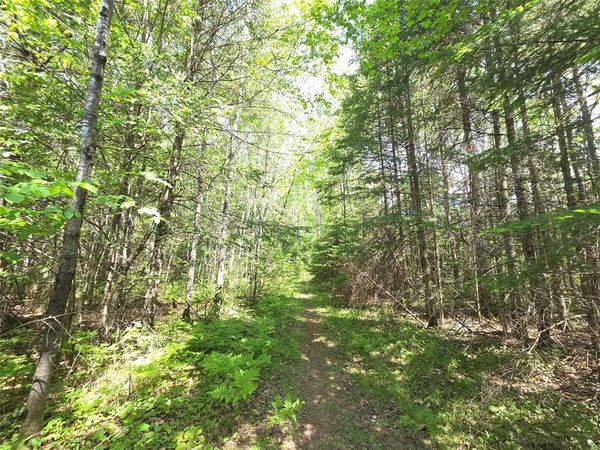 Lot 9 E Solberg Lake Road, Phillips, WI 54555