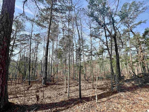 Tract 6 Ramblewood Trail , Yellville, AR 72687