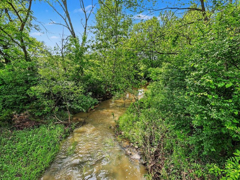 95 Acres Hwy 159 & Grimes Rd, Falmouth, KY 41040 Photo 10
