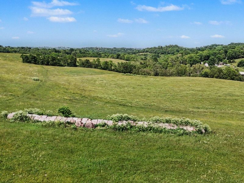 95 Acres Hwy 159 & Grimes Rd, Falmouth, KY 41040 Photo 11