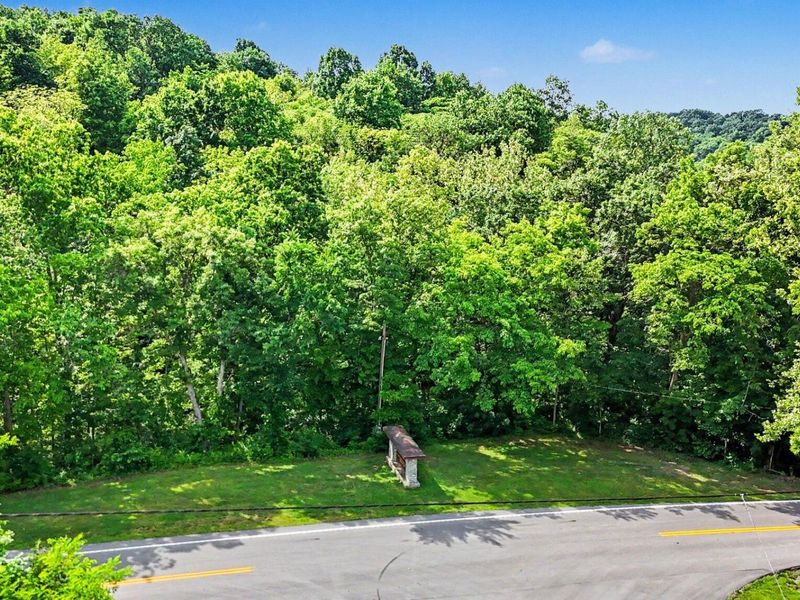95 Acres Hwy 159 & Grimes Rd, Falmouth, KY 41040 Photo 12