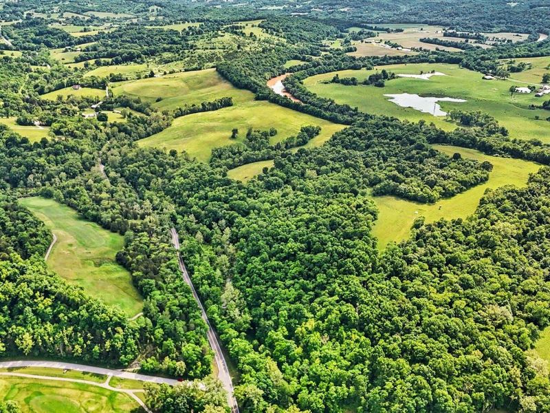 95 Acres Hwy 159 & Grimes Rd, Falmouth, KY 41040 Photo 18
