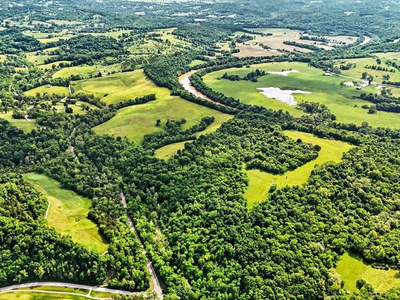 95 Acres Hwy 159 & Grimes Rd, Falmouth, KY 41040 Photo 19