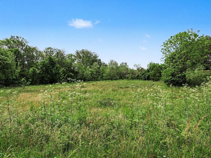 95 Acres Hwy 159 & Grimes Rd, Falmouth, KY 41040 Photo 9