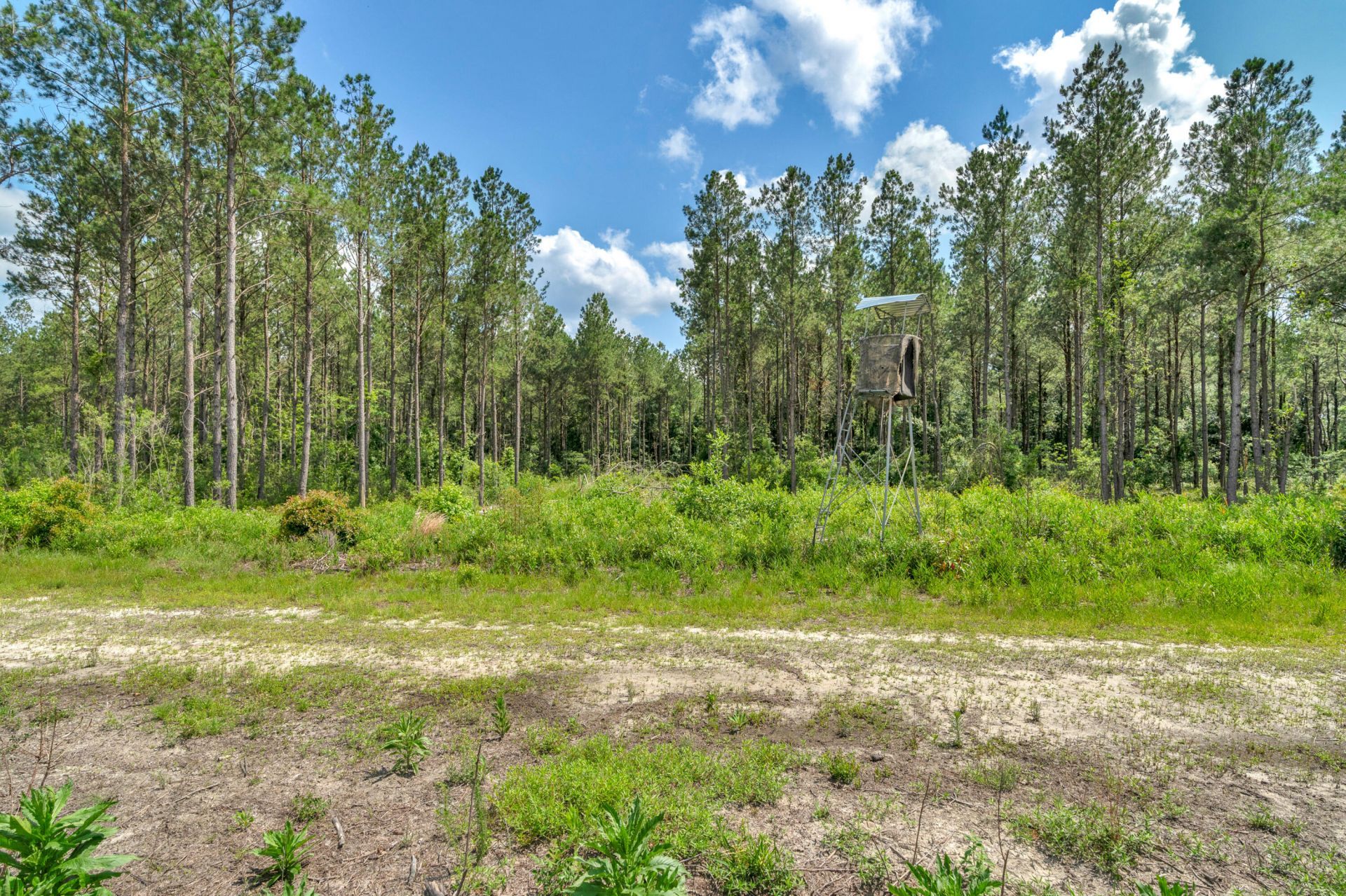 5120 N Brewington Road Photo 33