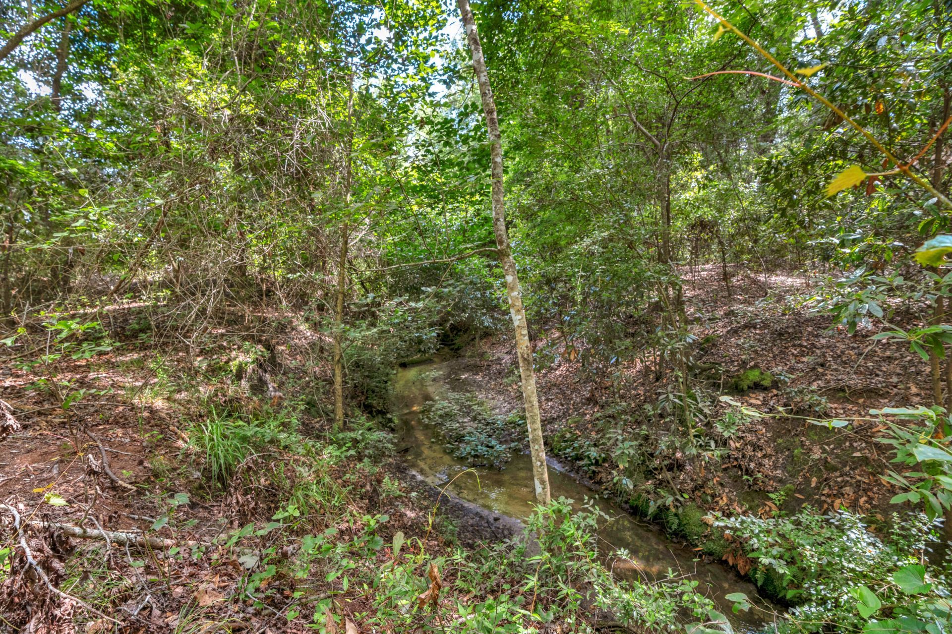 5120 N Brewington Road Photo 38