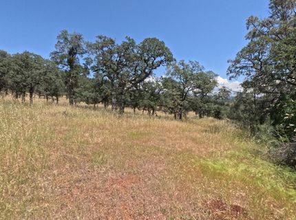 0 Hazen Rd, Manton, CA 96059 Photo