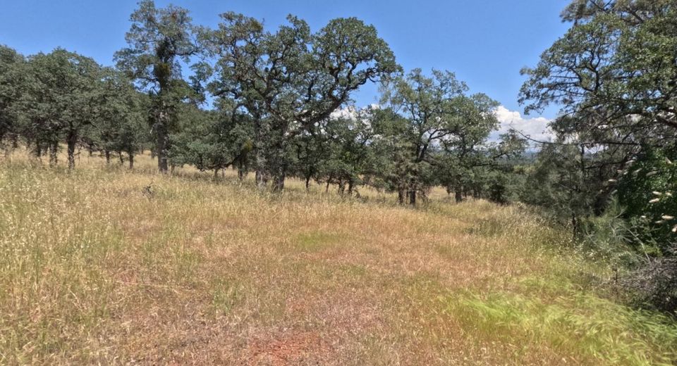 0 Hazen Rd, Manton, CA 96059 Photo