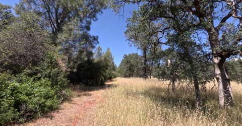 0 Hazen Rd, Manton, CA 96059 Photo