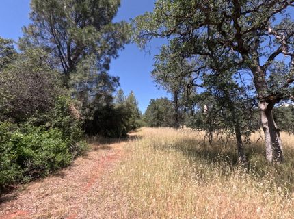 0 Hazen Rd, Manton, CA 96059 Photo