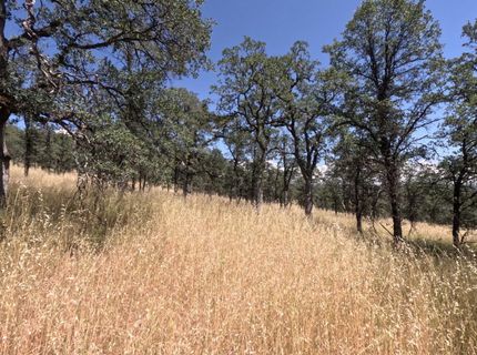 0 Hazen Rd, Manton, CA 96059 Photo