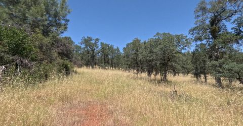 0 Hazen Rd, Manton, CA 96059 Photo