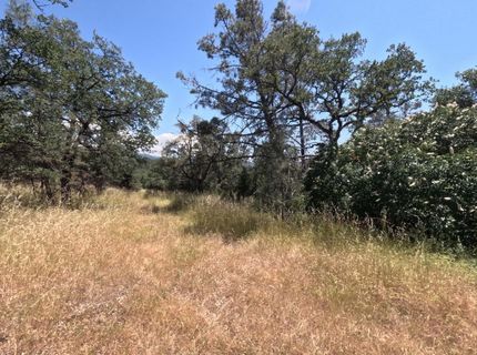 0 Hazen Rd, Manton, CA 96059 Photo