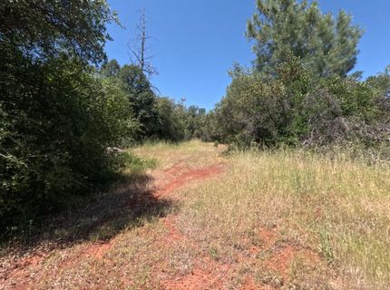 0 Hazen Rd, Manton, CA 96059 Photo