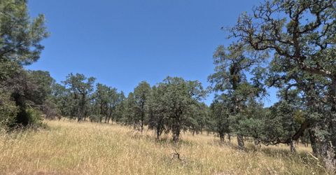 0 Hazen Rd, Manton, CA 96059 Photo