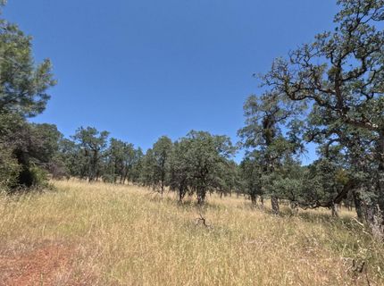 0 Hazen Rd, Manton, CA 96059 Photo