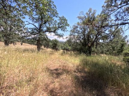 0 Hazen Rd, Manton, CA 96059 Photo