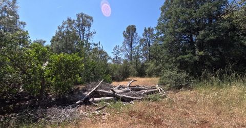 0 Hazen Rd, Manton, CA 96059 Photo