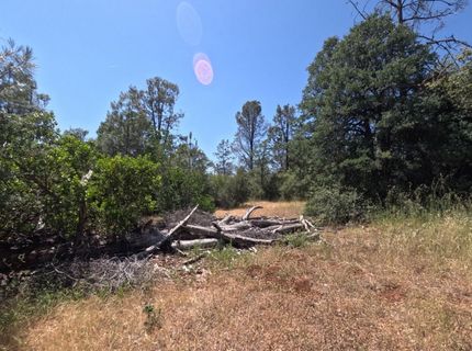 0 Hazen Rd, Manton, CA 96059 Photo
